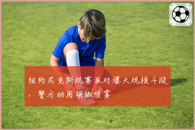 纽约尼克斯观赛派对爆大规模斗殴,警方动用胡椒喷雾
