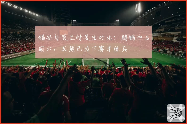 锡安与莫兰特复出对比：鹈鹕冲击前六，灰熊已为下赛季练兵